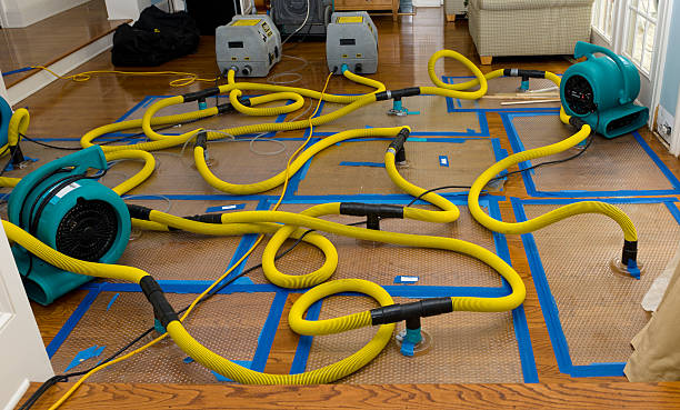 Professional Water Extraction technician working in Readyville, TN